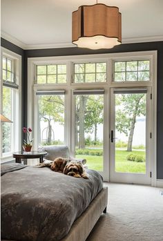 a dog laying on top of a bed in a bedroom next to two large windows