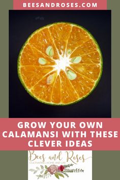 an orange cut in half with the words grow your own calamans with these clever ideas