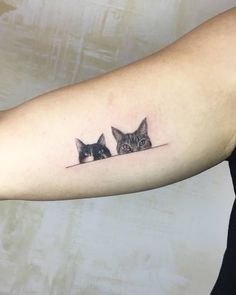 a cat and dog tattoo on the arm