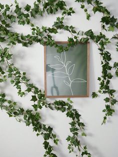 an image of ivy growing on the side of a wall in front of a mirror