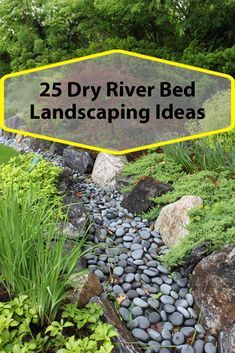 a garden with rocks and plants in the foreground text reads 25 dry river bed landscaping ideas