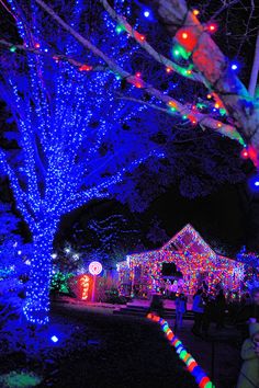 people are standing under the christmas lights on display in front of a house at night