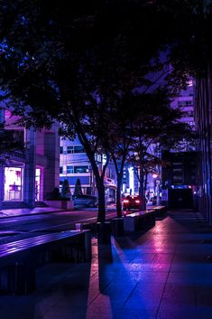 a city street at night with cars parked on the side walk and trees in the foreground