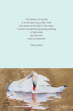 a white swan floating on top of water next to a quote from mary o'connor