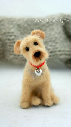 a small brown dog with a red collar sitting on top of a white table next to a gray blanket