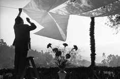 black and white photograph of a man holding a kite in front of flowers on a sunny day