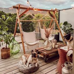 two dogs sitting on a wooden deck with hammock chairs and potted plants