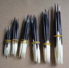 five black and white toothpicks tied together