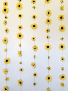 the sunflowers are hanging up on the wall