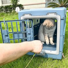 a cat sitting inside of a blue crate on top of green grass next to a person