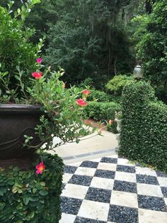 a checkerboard pattern is shown in the foreground with red flowers on it