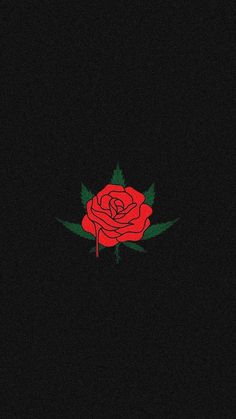 a red rose with green leaves on a black background in the dark, minimalistic style