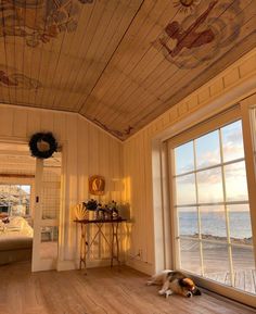 a dog laying on the floor in front of a window looking out at the ocean