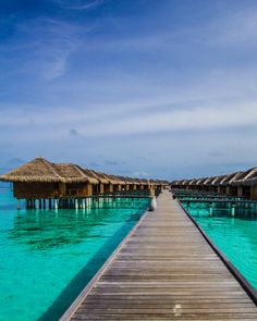 a dock leading to over water huts in the ocean