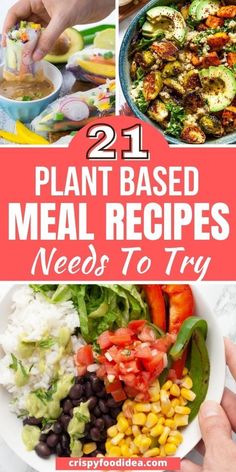 21 plant - based meal recipes to try