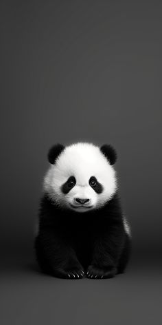 a black and white panda bear sitting on top of a gray floor next to a wall