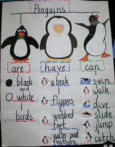 penguins are black, white and blue in this bulletin board with words that read penguin's