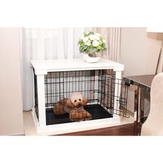 a small dog is sitting in his crate