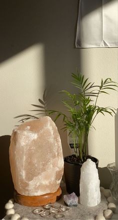 a large rock sitting on top of a table next to a potted plant and rocks