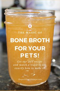 the magic of bone broth for your pets get our diy recipe and watch a video to see exactly how to make it