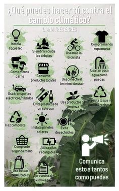 a poster showing the different types of plants and things to see in spanish, including leaves