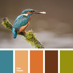 a bird sitting on top of a tree branch with color swatches in front of it