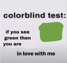 a green square with the words, color blind test if you see green then you are in love with me