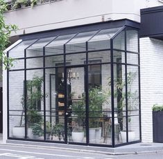 a white brick building with glass walls and plants in the front window, on a city street