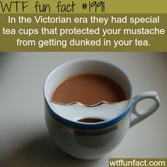 Awesome Cups to protect your mustache - WTF fun facts Victorian Facts, A Cup Of Tea, The More You Know, What’s Going On, Cup Of Tea, Fun Fact, Things To Know, Victorian Era, Funny Facts