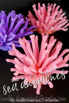 three pink and purple flowers with the words how to make seaweeds on them