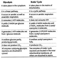 two types of glycocyclia are shown in this table