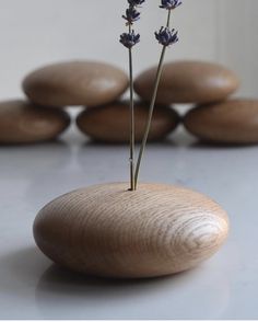 lavender sticks sticking out of a rock on a table