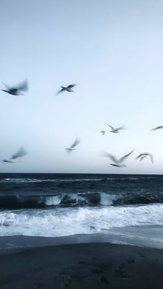 a flock of birds flying over the ocean