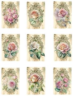 six different images of pink roses with green leaves and scrolls on the sides, all in pastel tones