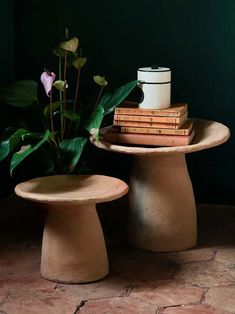 two small tables with books on them and a plant in the middle one is made out of clay