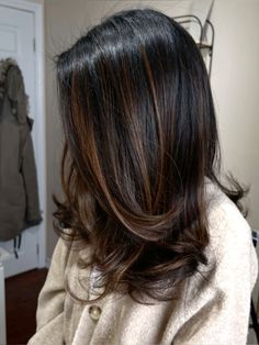 Hair Colour For Highlights, Highlight On Ends Of Hair, Hair Colouring Ideas For Black Hair, Brown Colour Hair Highlights, Natural Black Hair Color With Highlights, Brunette Colour Ideas, Best Hair Colour For Black Hair, Brown Black Hair Ideas, Dark Hair Colour Ideas Highlights