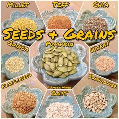 seeds and grains in bowls on a table with text overlay that reads, how to grow seeds and grains