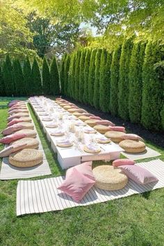 a long table is set up in the middle of a grassy area with pink and white pillows