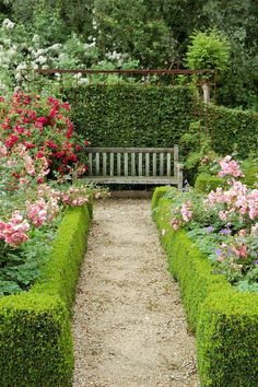 a wooden bench sitting in the middle of a garden filled with lots of flowers and greenery