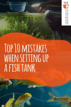 a fish tank filled with lots of different types of water and some words that say top 10