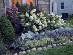 a garden with flowers and shrubs in front of a house