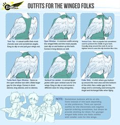 the instructions for how to draw an angel's wings