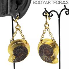 a pair of gold earrings with ammonite shells hanging from it's hooks