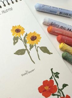 some crayons are laying on top of an open book with sunflowers