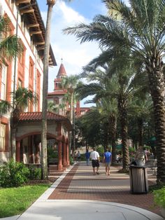 two people walking down a sidewalk between palm trees and buildings with a clock tower in the background