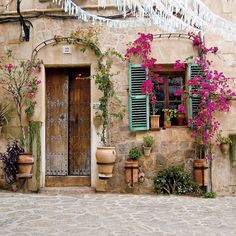 an old building with potted flowers and green shutters