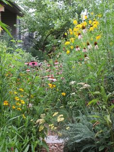 the garden is full of flowers and plants