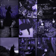 a collage of photos with black and purple images in the middle one has a cat on it