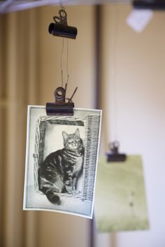 a cat sitting on top of a piece of paper hanging from a string with an old camera attached to it