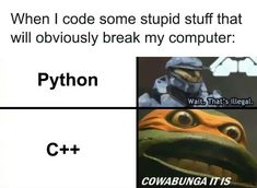 Programmer Profile Pic, Technology Meme, Computer Memes, Programming Jokes, Comp Sci, Programing Jokes, Programmer Jokes